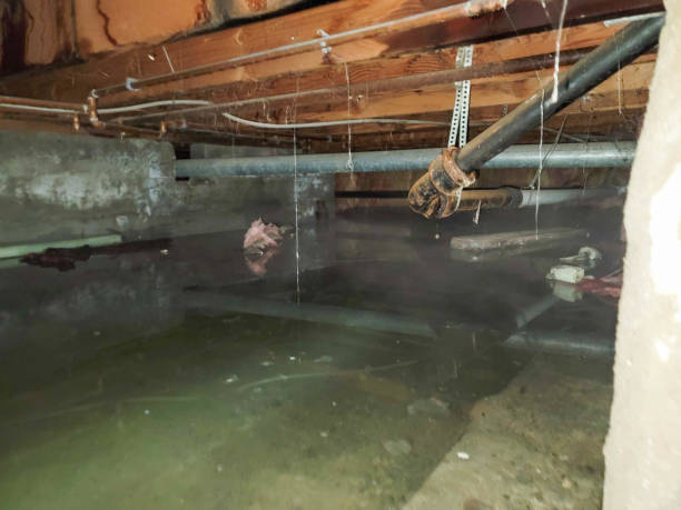 Best Residential water damage restoration  in Santa Clara, CA