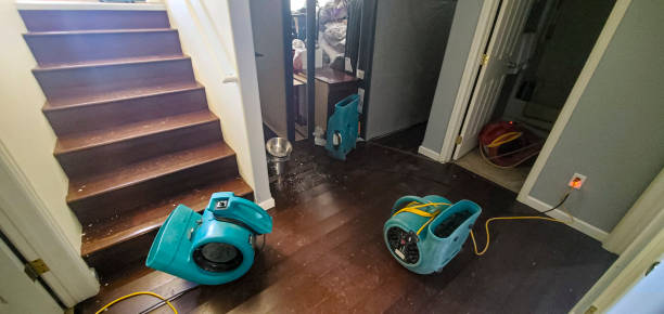 Best Professional water damage repair  in Santa Clara, CA