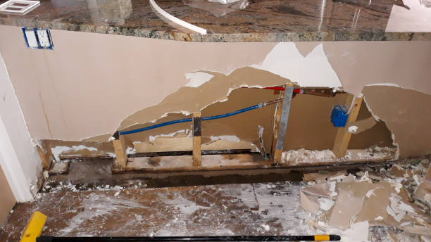 Best Mold removal after water damage  in Santa Clara, CA