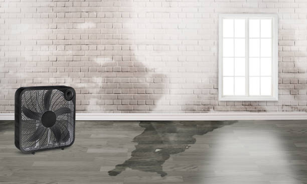  Santa Clara, CA Water damage restoration Pros