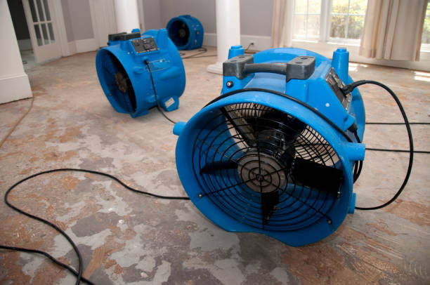 Best Basement water damage restoration  in Santa Clara, CA