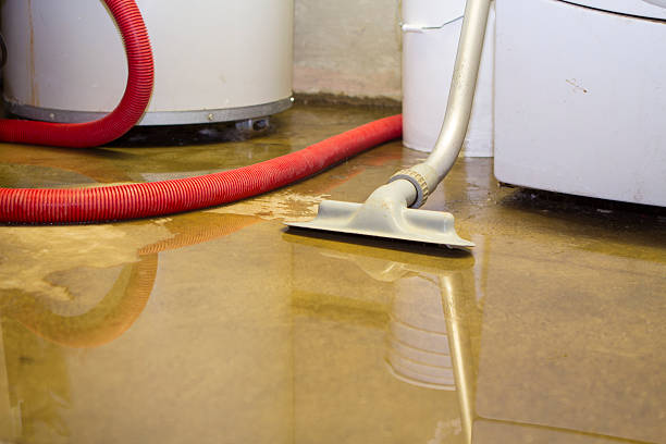 Best Water damage restoration near me  in Santa Clara, CA
