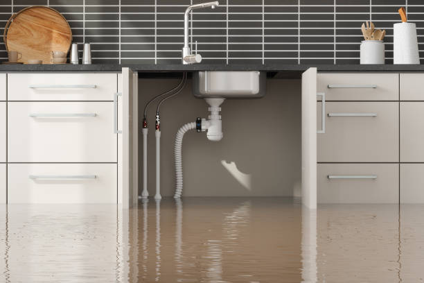 Best Local water damage restoration  in Santa Clara, CA