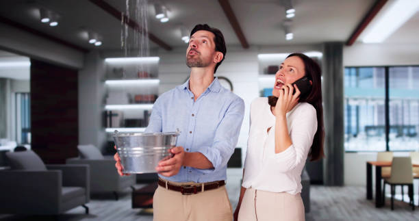 Best Mold removal after water damage  in Santa Clara, CA